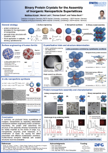 PosterPrize_MatthiasKünzle